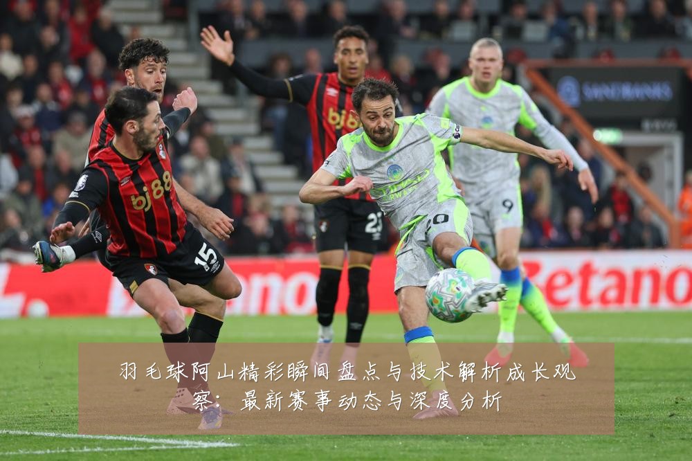 羽毛球阿山精彩瞬间盘点与技术解析成长观察：最新赛事动态与深度分析